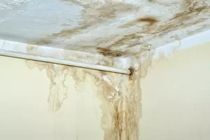 Fábrica Coifa em Camaçari